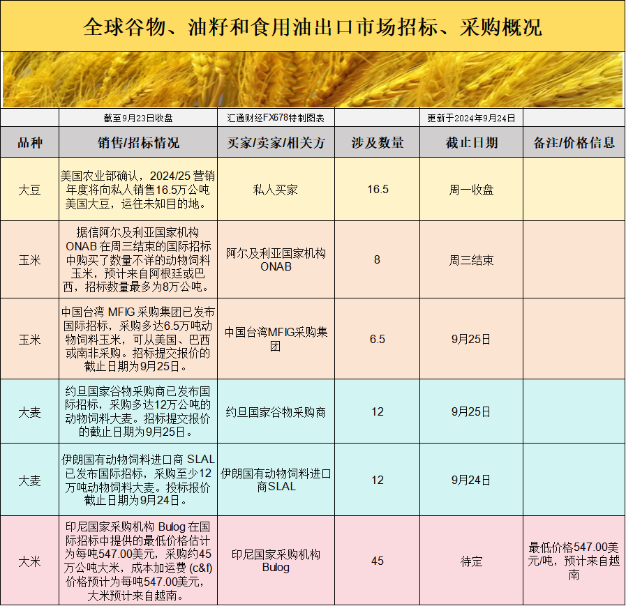 国际交易风向：全球谷物招标热潮背后，基差波动如何影响价格？